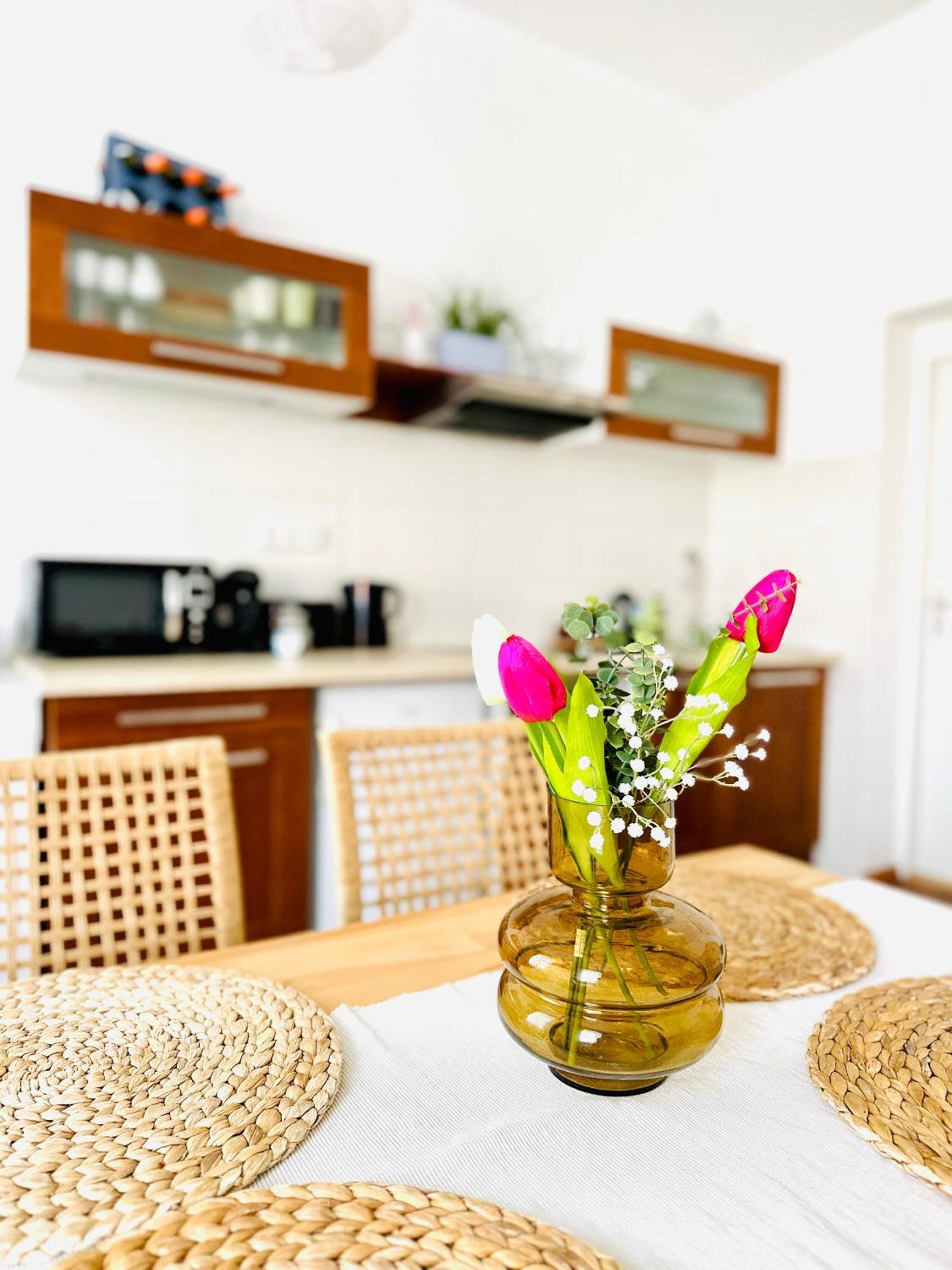 Apartman Na Zerotince Šumperk Zewnętrze zdjęcie